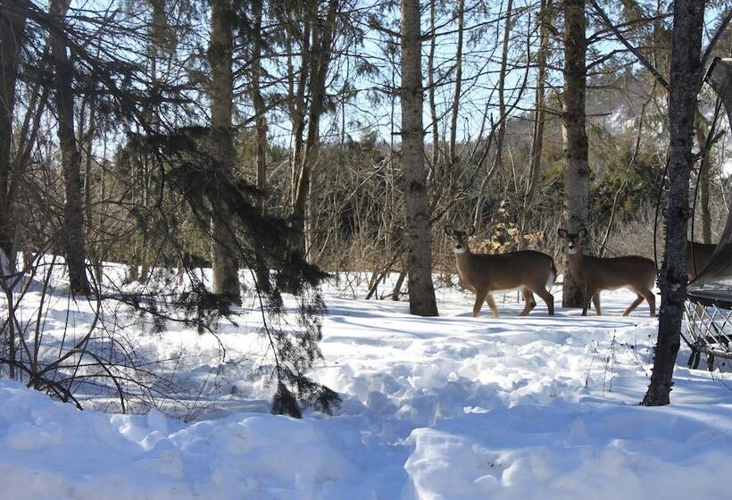 Bed and Breakfast La Grange Country Inn