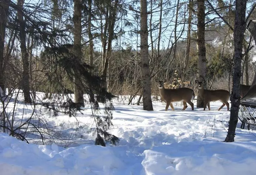 Aamiaismajoitus (B&B) La Grange Country Inn