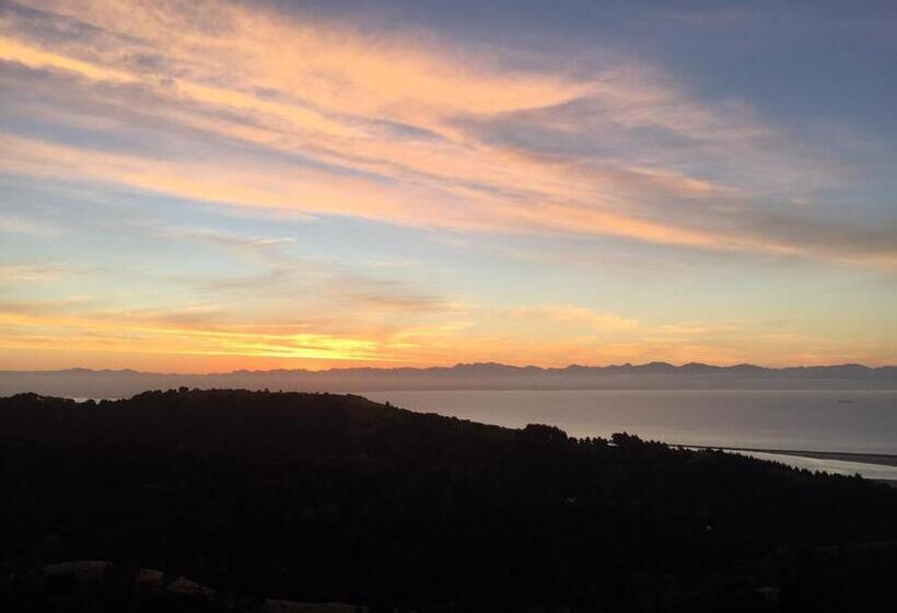 Big Sky Nelson Luxury Eco B&b