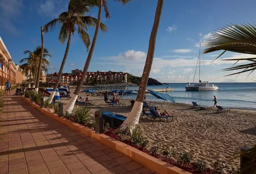 هتل Divi Little Bay Beach Resort