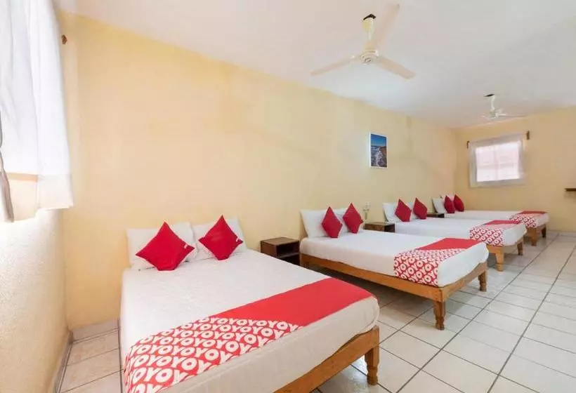 ホテル Marimar Campestre