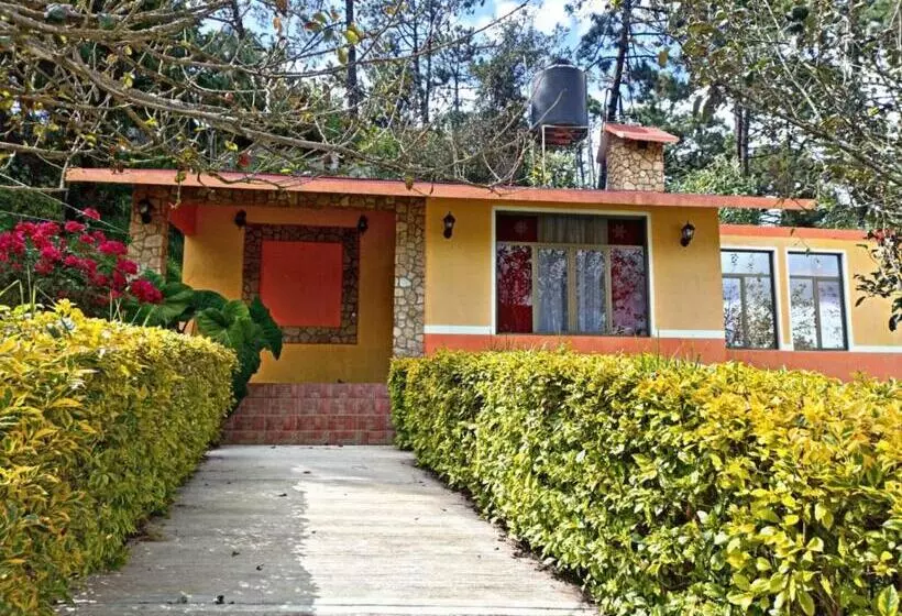 Hotelli Villa De Las Flores