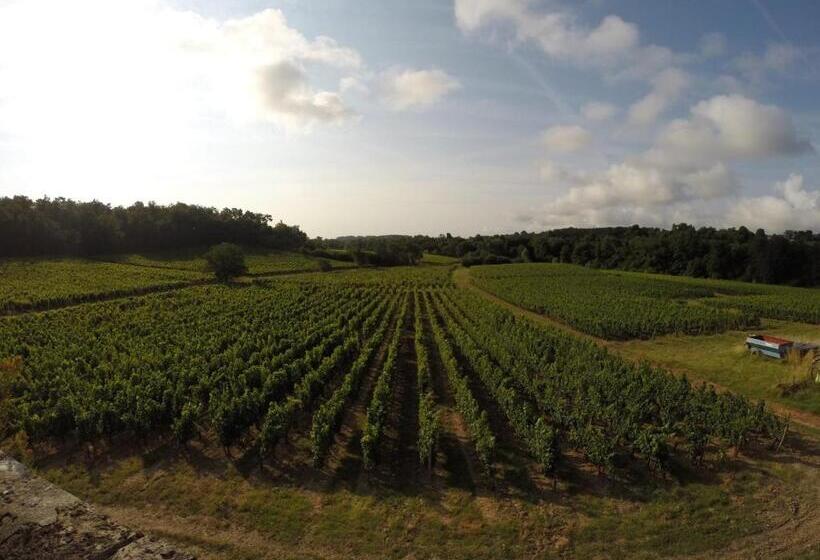 Bed and Breakfast Chambre D'hôtes De L'estuaire De Blaye