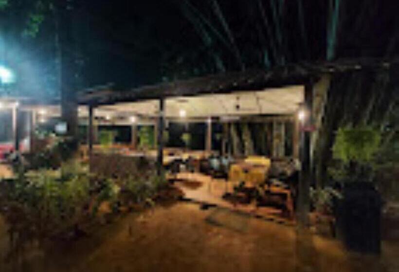 Brahmaputra Jungle Resort