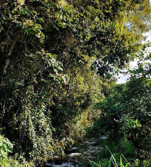 Caskaffesu Hotel And Restaurant Mindo