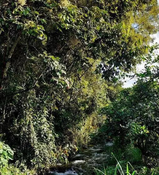 Caskaffesu Hotel And Restaurant Mindo