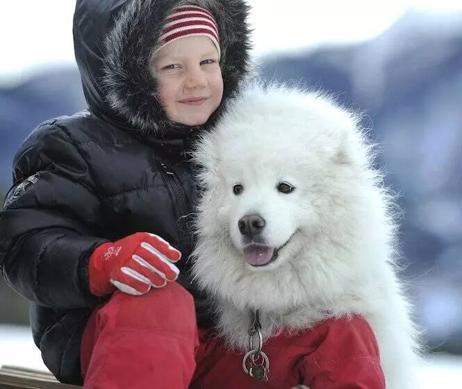 Hotel Alliey & Spa Piscine Appart Hôtel Serre Chevalier