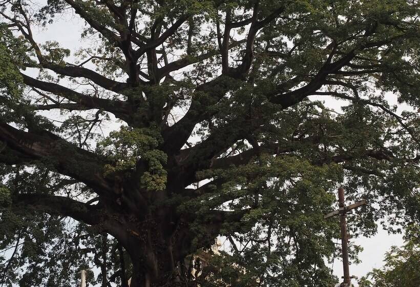 هتل Atlantic Lumley