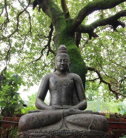 منتجع Keys Lite By Lemon Tree Hotels Sylvan, Dapoli