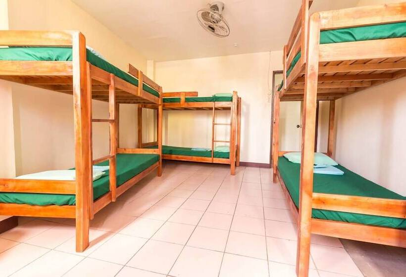 Szálló Friendly S Guesthouse