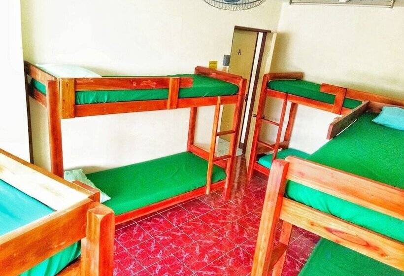 Hostel Friendly S Guesthouse