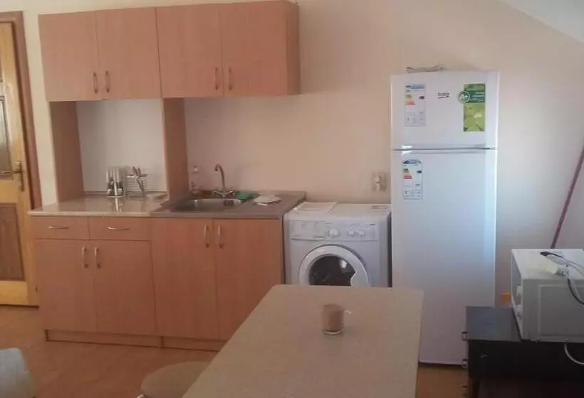 Hostel Stozhary