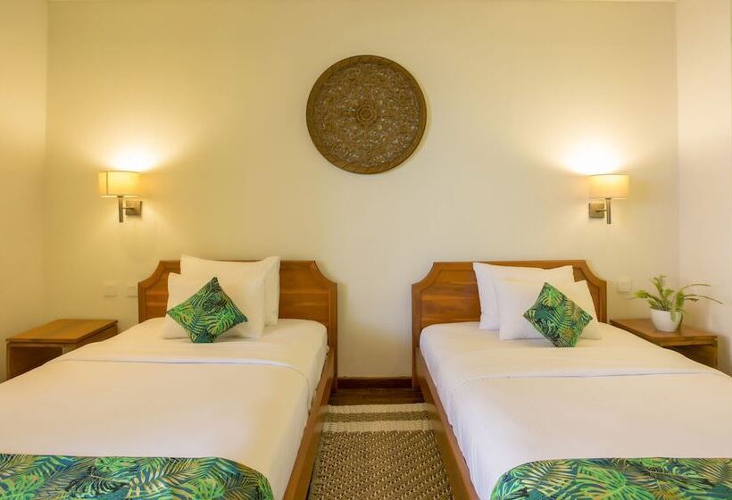 Отель Eco Tree O'tel