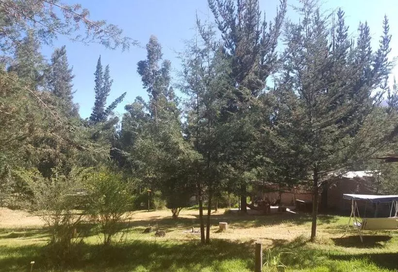 Tony S House Eco Hostel