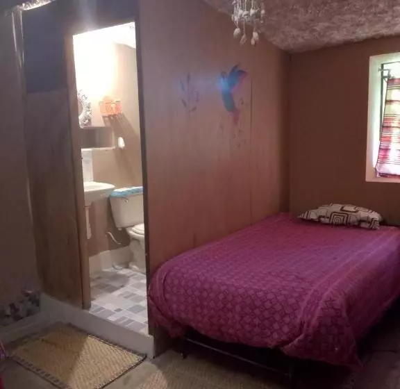 Tony S House Eco Hostel