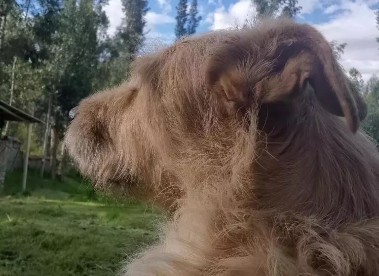 Tony S House Eco Hostel