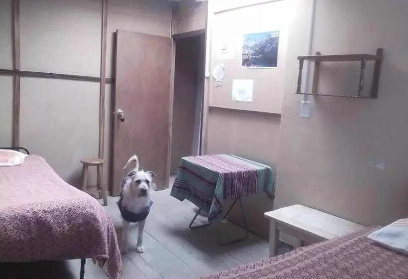 Tony S House Eco Hostel