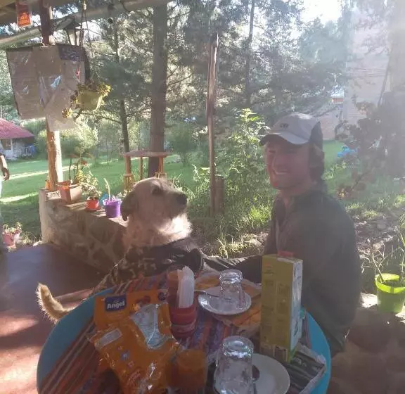 Tony S House Eco Hostel