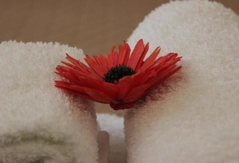 B&b Le Pomelie Dell'etna