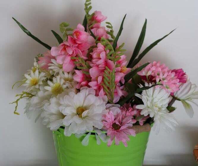 B&b L'isola Che Non C'è