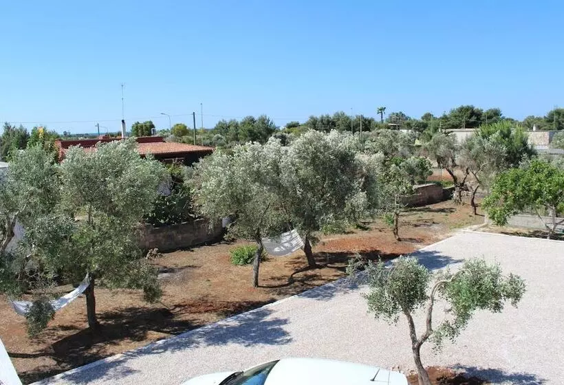 B&b L'isola Che Non C'è