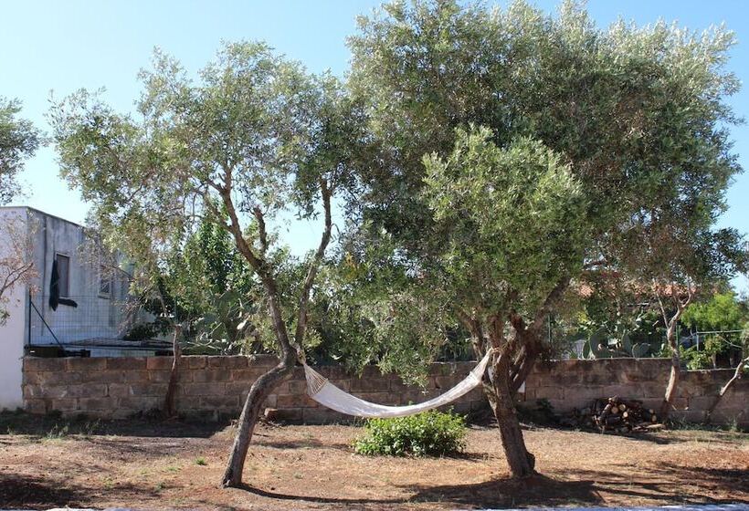 B&b L'isola Che Non C'è