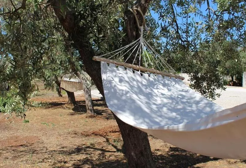 B&b L'isola Che Non C'è