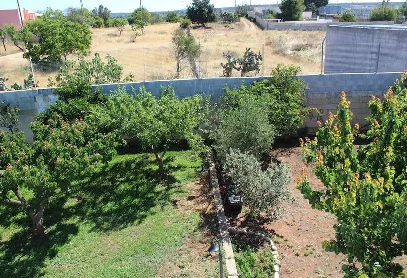 B&b L'isola Che Non C'è