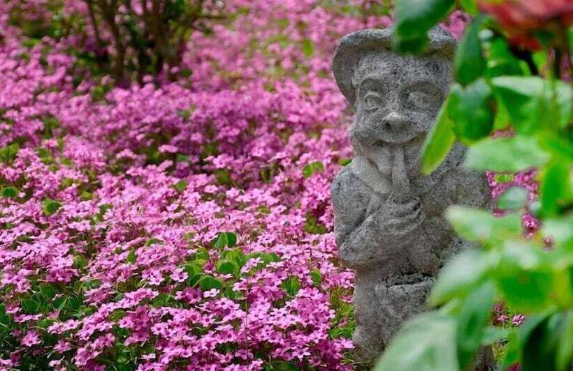 住宿加早餐 Ca Del Pomo Grana