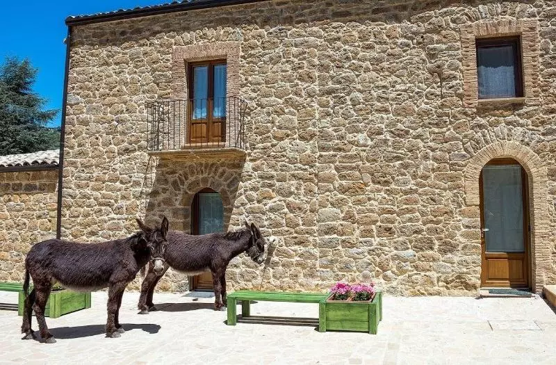 Aamiaismajoitus (B&B) La Quercia E L'asino