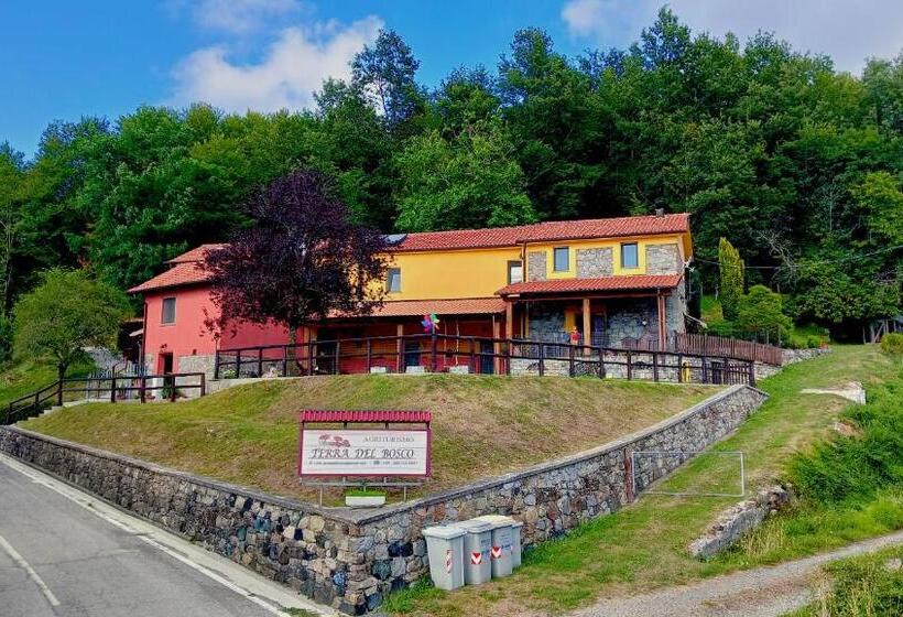 Bed and Breakfast Terra Del Bosco Agriturismo