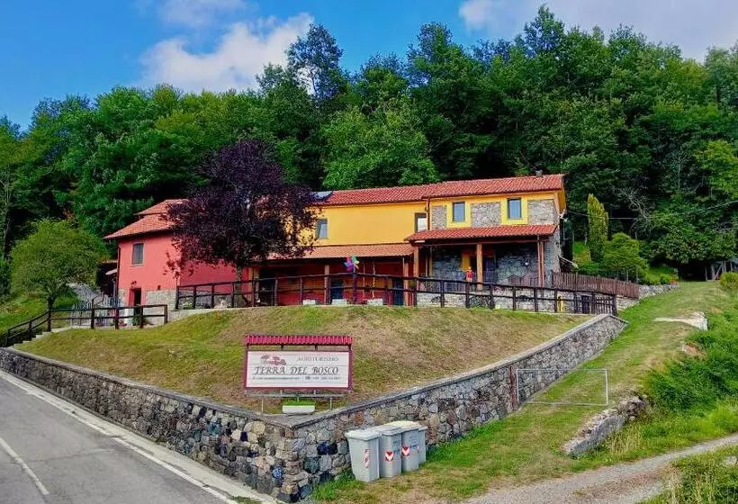 ベッドアンドブレックファースト Terra Del Bosco Agriturismo