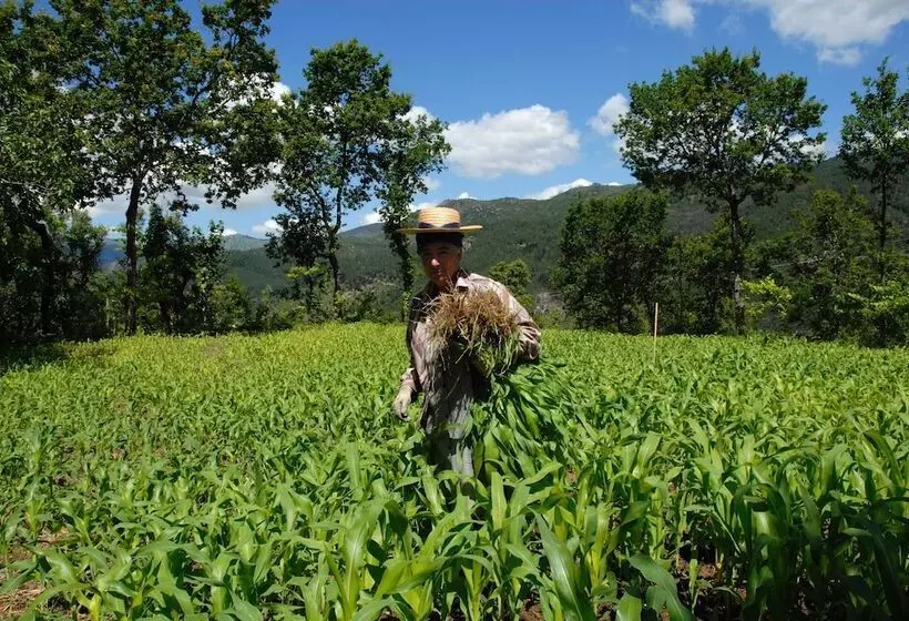 ホテル Aldeia Turística De Louredo