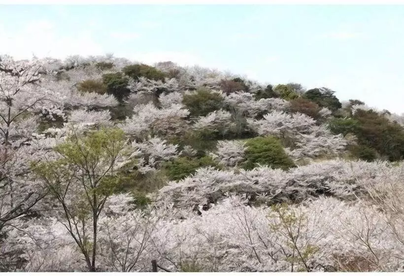 ホテル Js Nichinan Resort