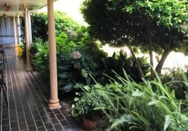 汽车旅馆  Muswellbrook Motor Inn