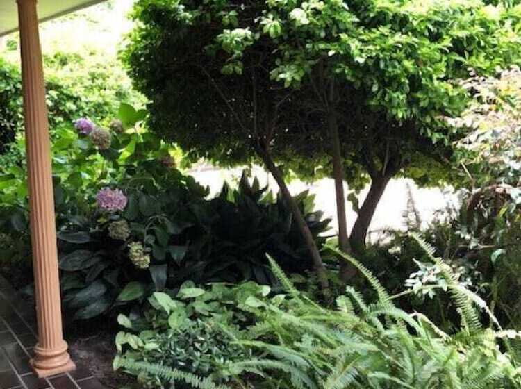 汽车旅馆  Muswellbrook Motor Inn