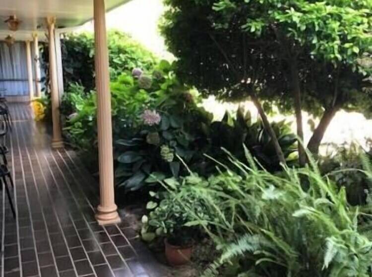 汽车旅馆  Muswellbrook Motor Inn