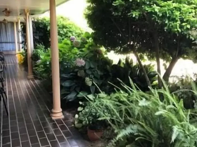 モーテル Muswellbrook Motor Inn