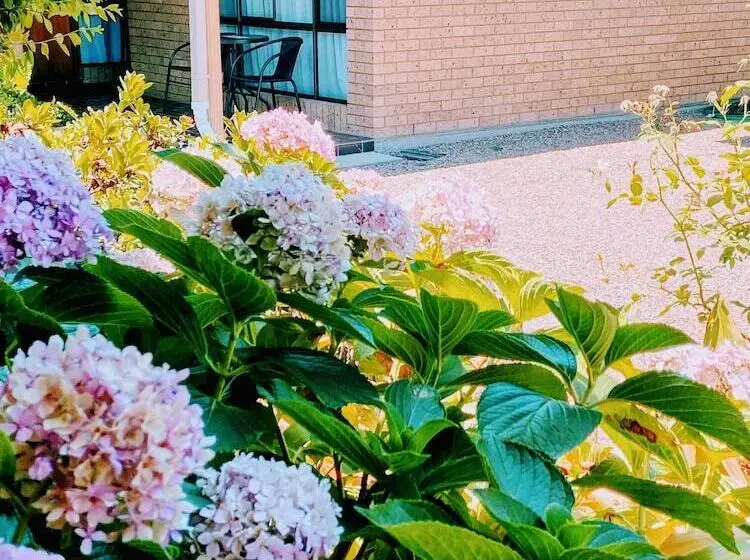 モーテル Muswellbrook Motor Inn