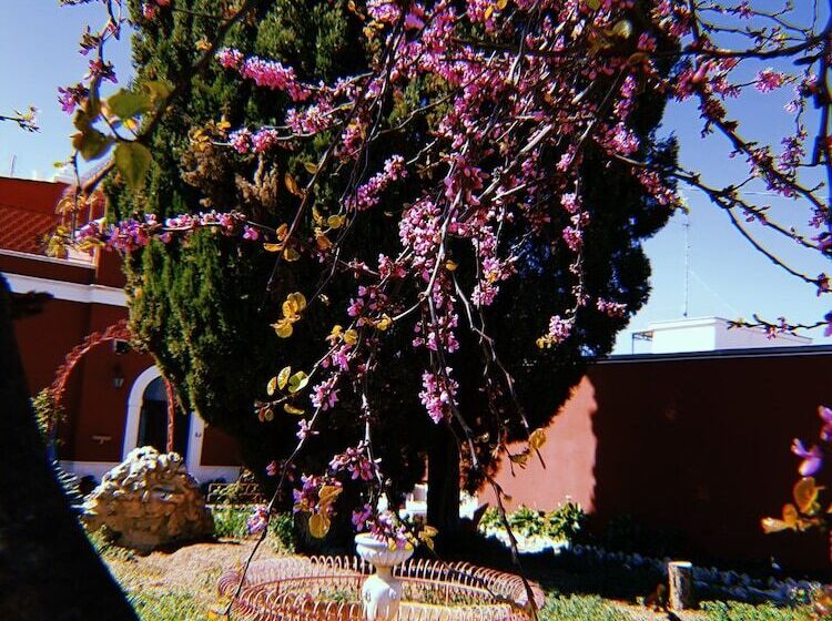 تختخواب و صبحانه Airport Rooms Bari