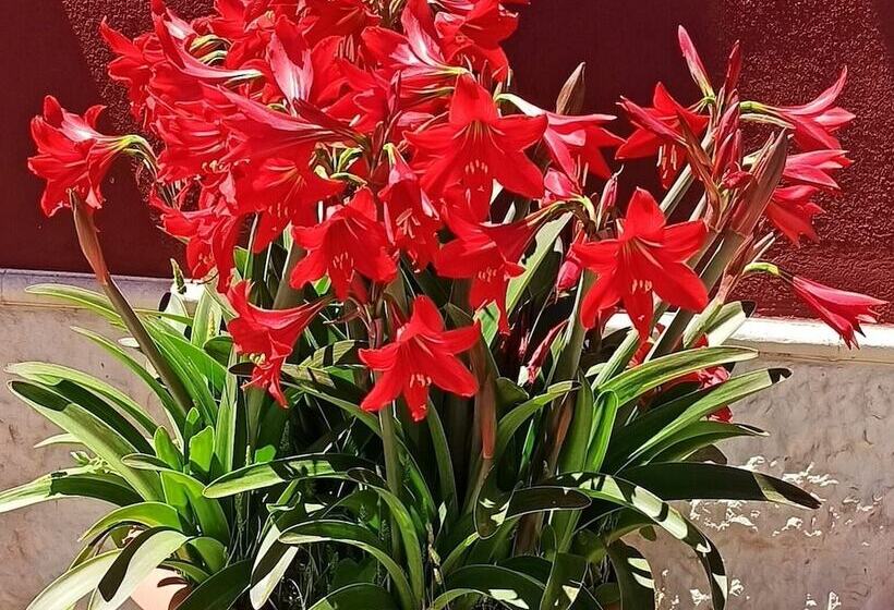 تختخواب و صبحانه Airport Rooms Bari