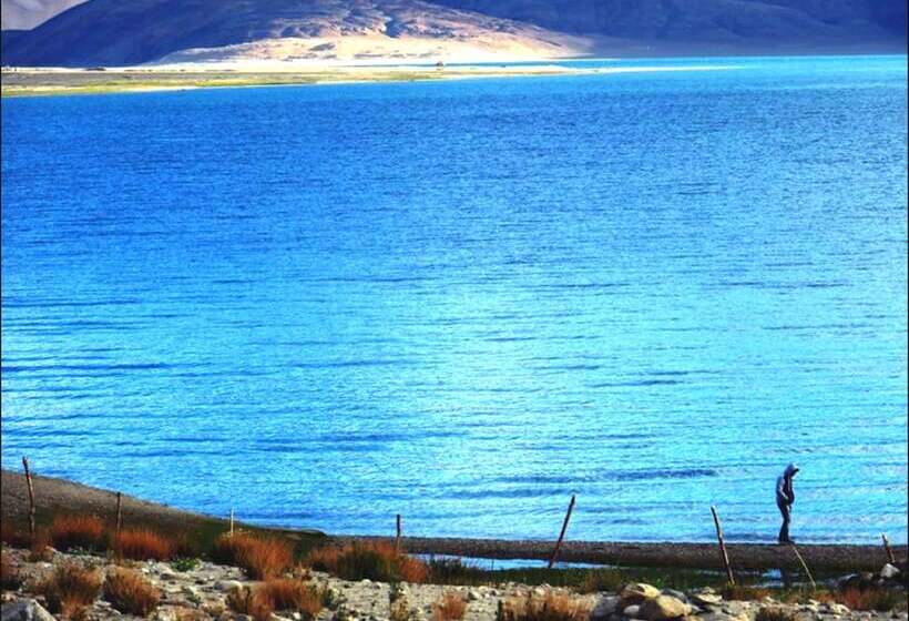 فندق Royal Camp   Pangong