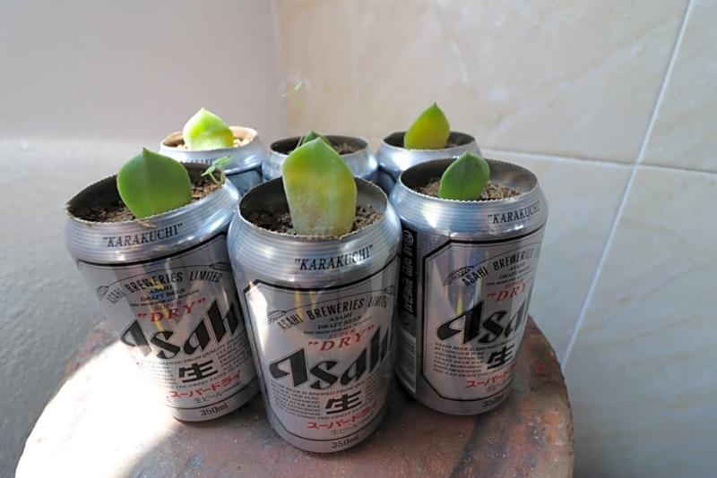 膳宿费 Bunker Guesthouse