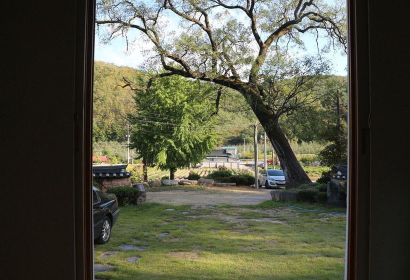 بنسيون Dureung Gotaek