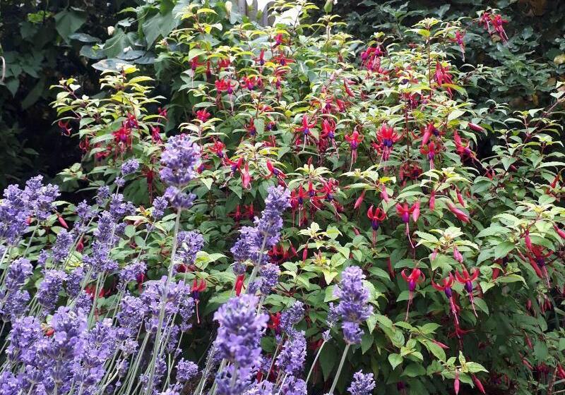 Stoneleigh Barn Bed And Breakfast