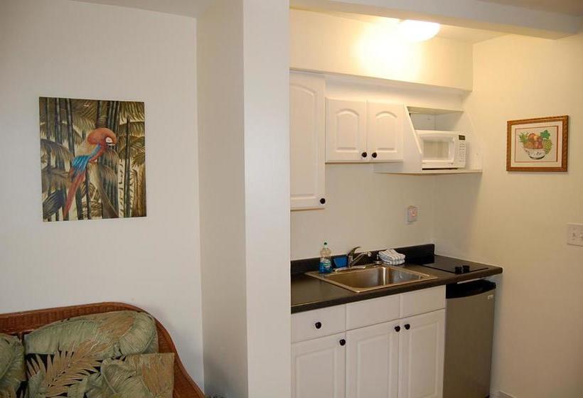 Alcazar Resort- Gay Mens Resort