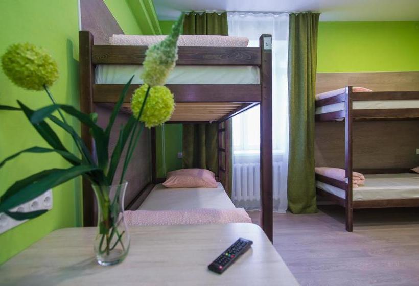 فندق Barnaul Hostel