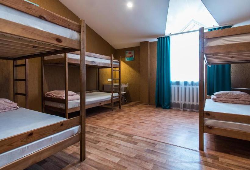 فندق Barnaul Hostel