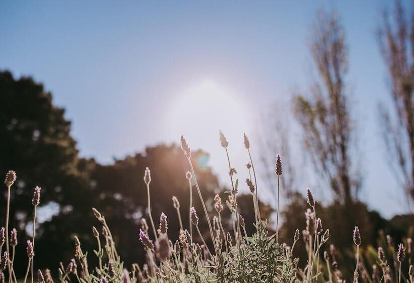 Hotel Posada Arenas De José Ignacio
