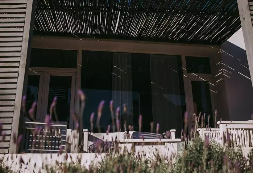 ホテル Posada Arenas De José Ignacio